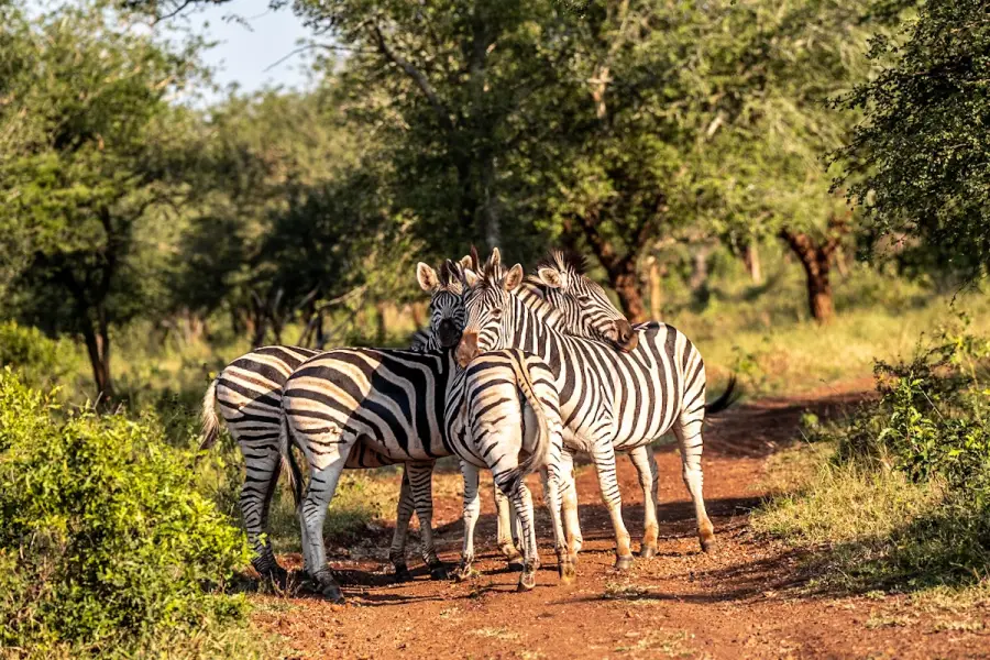 Südafrika