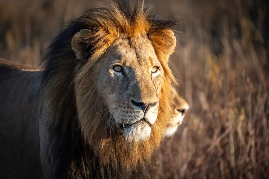 Südafrika