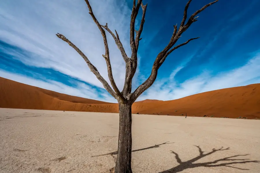 Namibie - Deadvlei