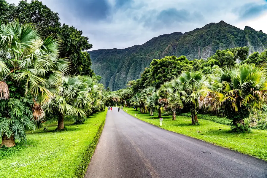 Havaj - Oahu - Hoʼomaluhia Botanical Garden