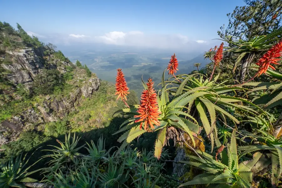 South Africa