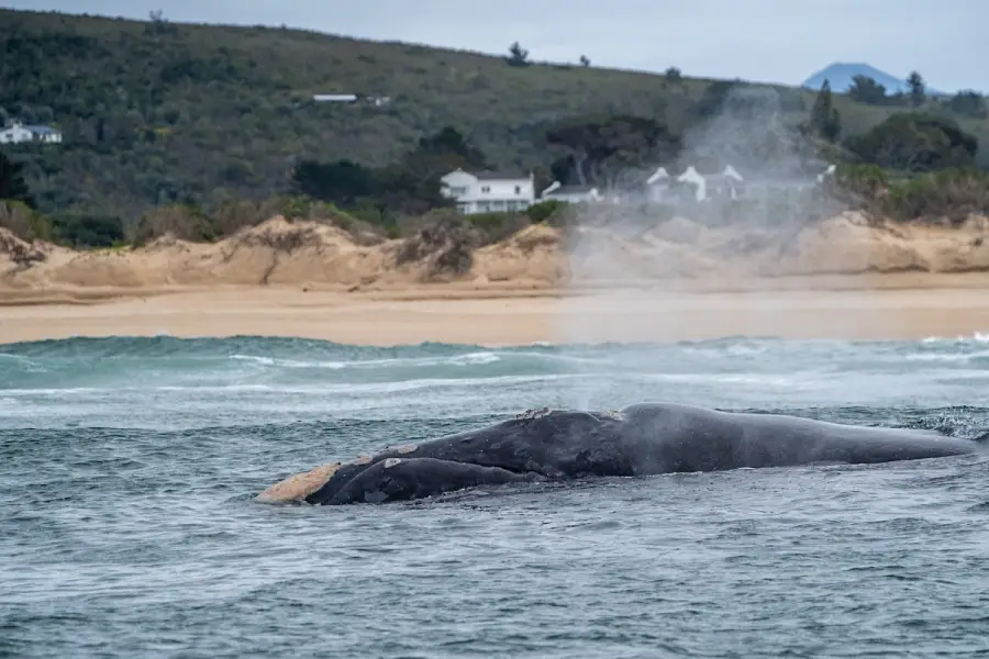 South Africa