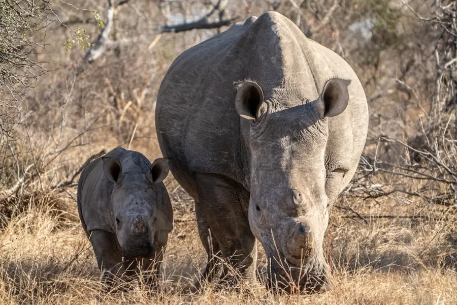 South Africa
