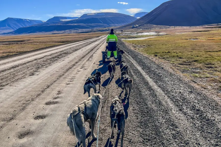 Špicberky - Husky spřežení