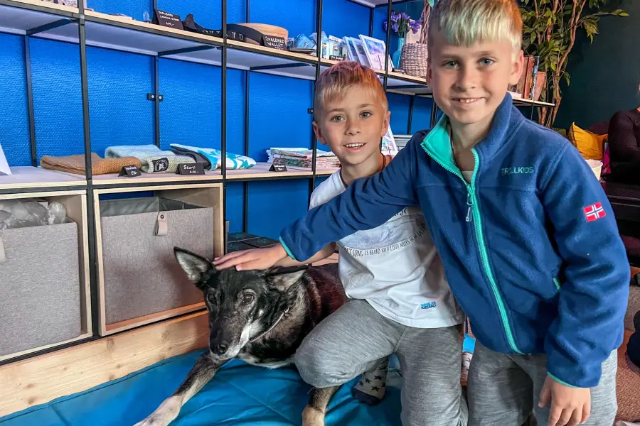 Špicberky - Husky Cafe