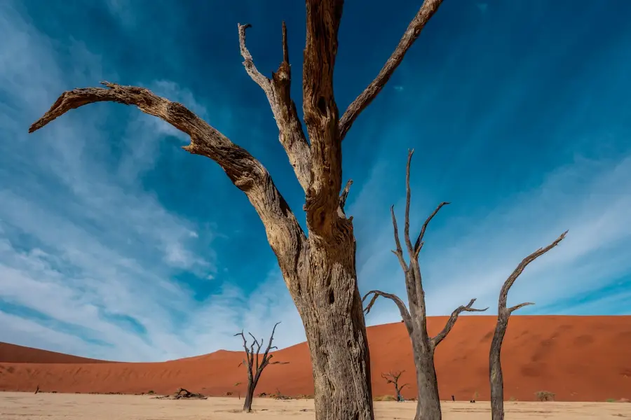 Namibie - Deadvlei