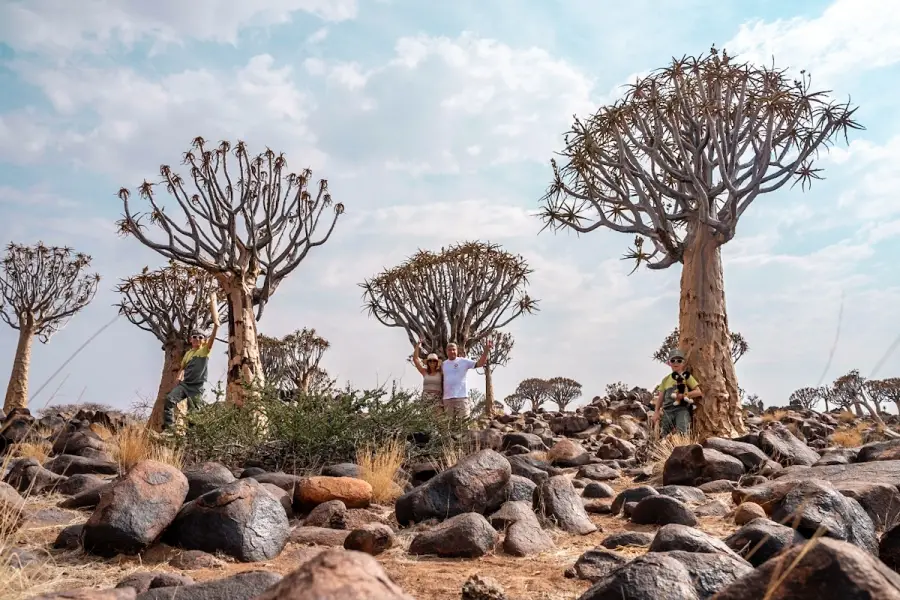 Namibie - Quiver Tree Forest