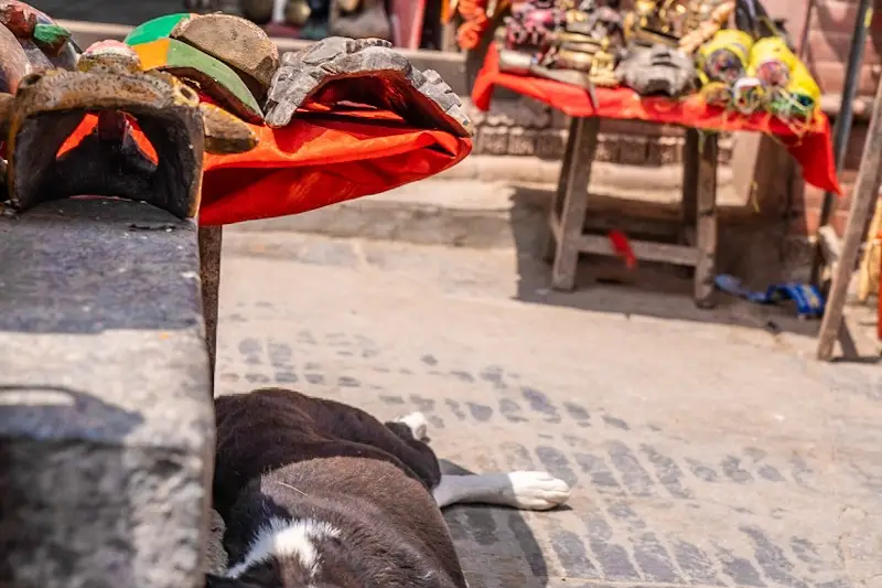 Nepal