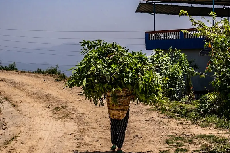 Nepal