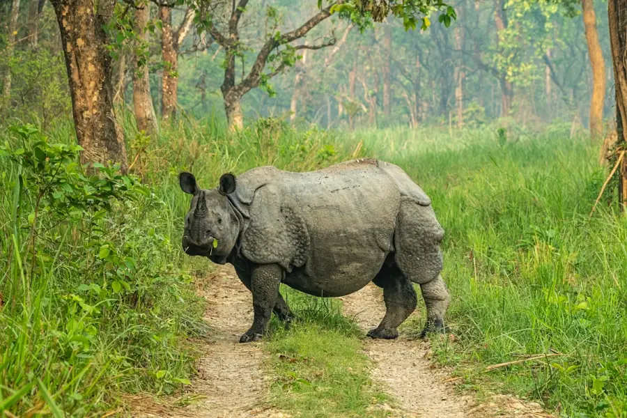 Nepal
