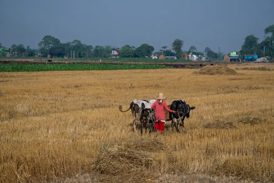 Nepal