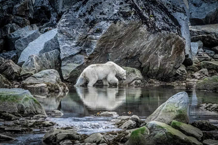 Špicberky – Klenot v srdci Arktidy