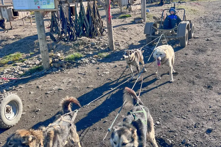 Špicberky  - Husky farma