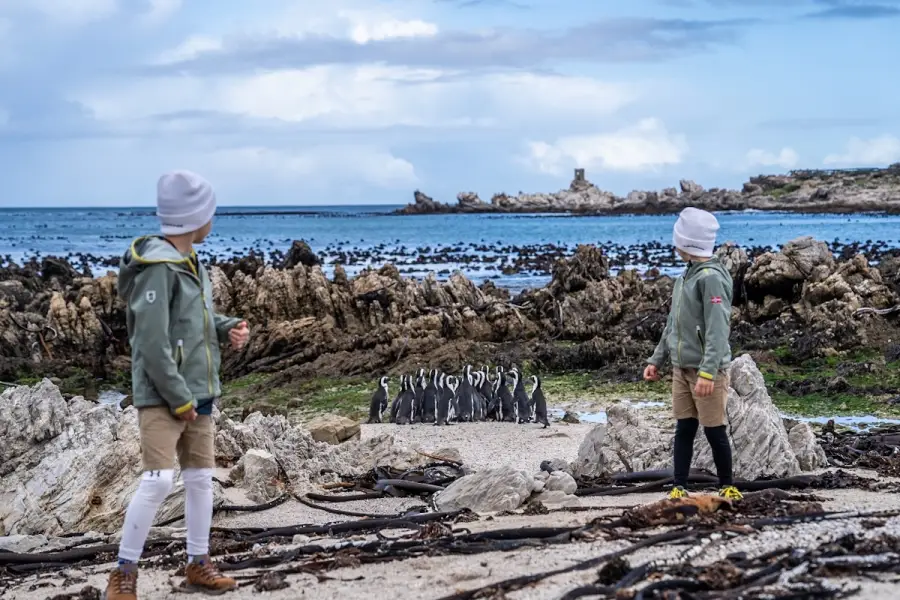 J.A.R.