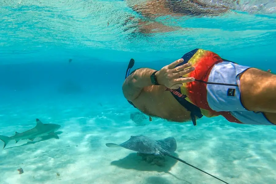 Francouzská Polynésie