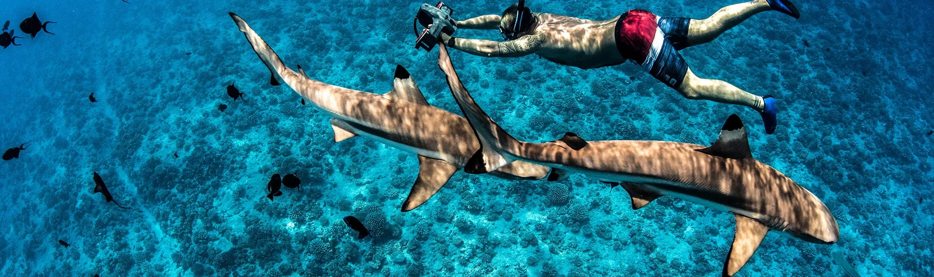 WorldTravellingFamily